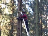 Maibaum_2016 (3).jpg